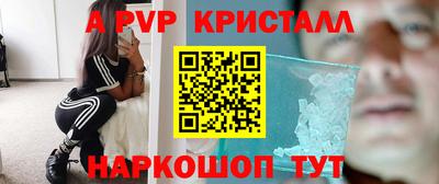 кокс Донской