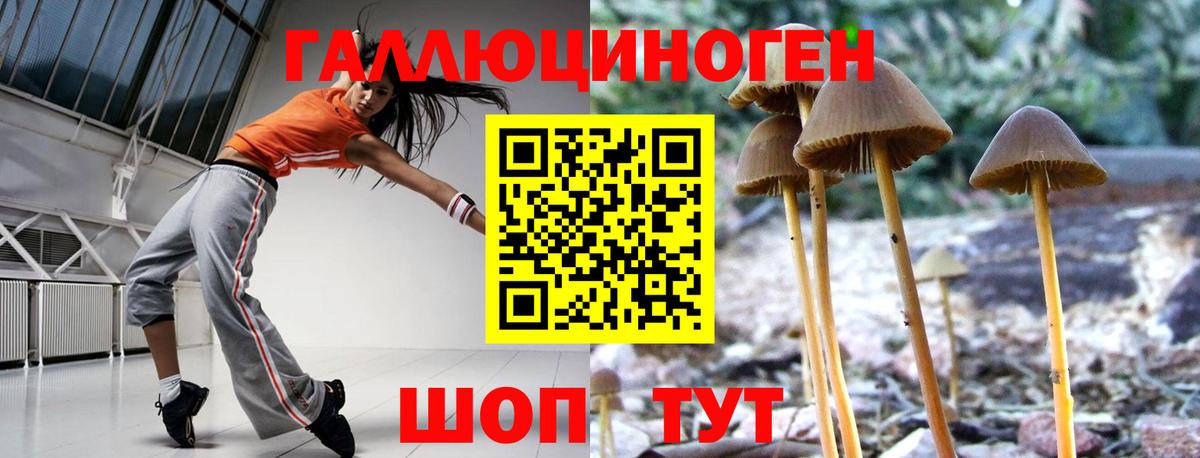 Галлюциногенные грибы ЛСД  Галлюциногенные грибы Psilocybine cubensis  Моздок  Вход с VPN 
